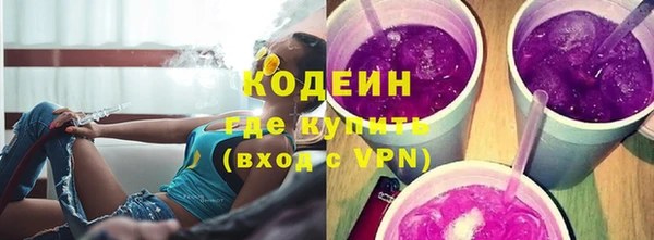 прущие грибы Лабытнанги