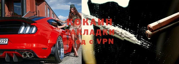 прущие грибы Лабытнанги