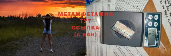прущие грибы Лабытнанги