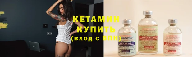 прущие грибы Лабытнанги