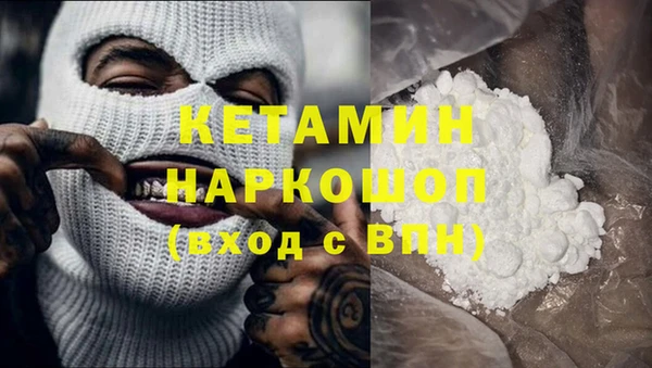 прущие грибы Лабытнанги