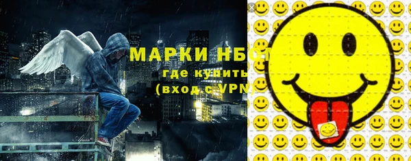 прущие грибы Лабытнанги