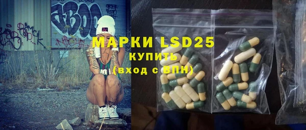 прущие грибы Лабытнанги