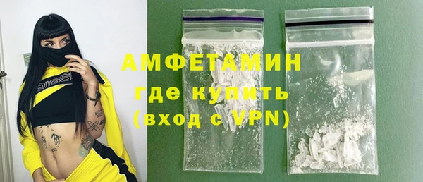 прущие грибы Лабытнанги