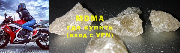 прущие грибы Лабытнанги
