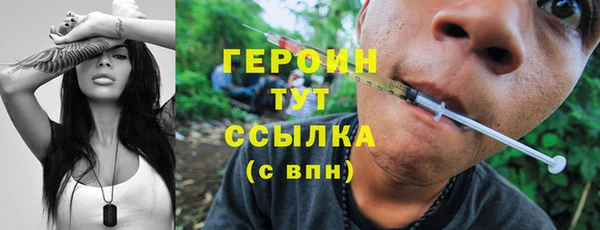 прущие грибы Лабытнанги