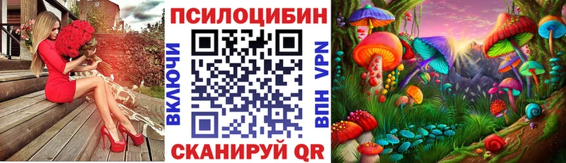 omg вход  Югорск  Псилоцибиновые грибы MAGIC MUSHROOMS  купить закладку 