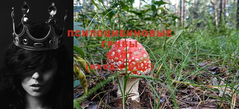 Псилоцибиновые грибы Magic Shrooms  Югорск 