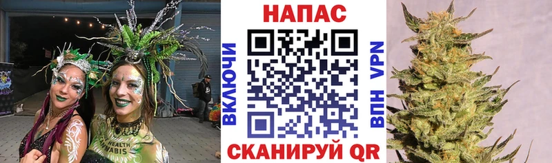 Бошки марихуана THC 21% shop формула Югорск где можно купить MEGA ССЫЛКА